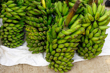 hindu banana festival in baga goa