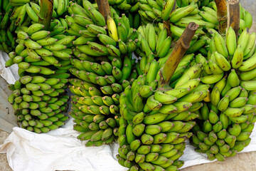 hindu banana festival in baga goa