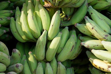 hindu banana festival in baga goa