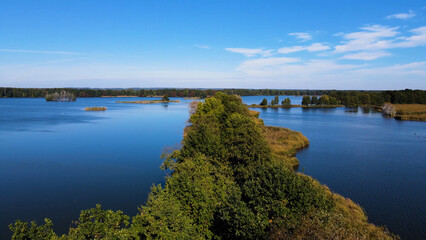 Fototapeta premium trees in water view from above lake