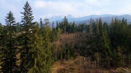 mountain top rocks view from above Zakopane Poland