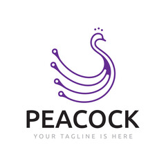Obraz premium Peacock Bird Animal with Map Pin Location Line Logo Template