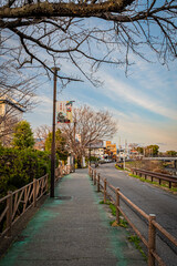 Kiyosu Castle with illuminated red bridge at twilight, Aichi Japan