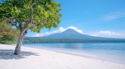 Tropical Beach with Mountain View