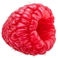 One raspberry isolated on white background.