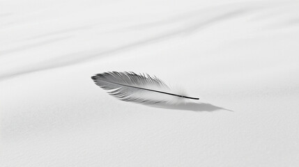 Delicate feather resting on smooth white sand in a tranquil setting at the beach