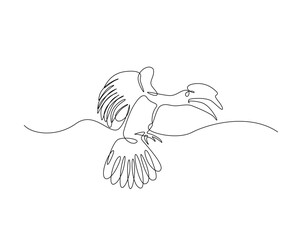 Hornbill bird outline drawing illustration. one continuous line drawing of Hornbill bird.