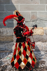 Jester - Annecy Venetian Carnival 2013