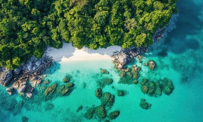Aerial View of Serene Tropical Beach Surrounded by Lush Greenery and Clear Blue Water in a Scenic Coastal Landscape