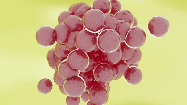 繁殖する球菌のイメージ