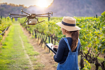 Smart vineyard system with winegrower control drone