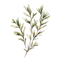 Obraz premium Minimalist watercolor illustration leaves evokes sense of fresh serenity