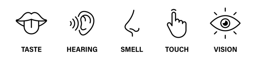 Human sense icons. Human senses vector icon. Five human senses. EPS 10