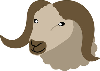 cartoon sheep head