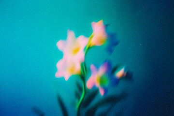 Abstract Blurred Flowers Background