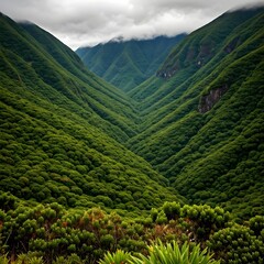 Fototapeta premium Fazao-Malfakassa Hills’ Rolling Green Hills