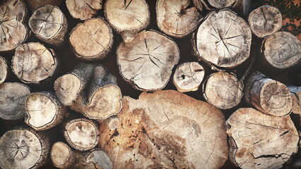 Pile Of Rustic Wooden Logs Natural Texture Top View Warm Colors Concept