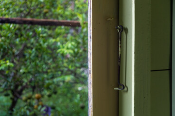 Weathered window reveals verdant fruitful garden