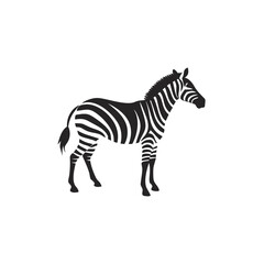 Zebra illustration black white