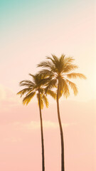Fototapeta premium Two palm trees in the light of the setting sun