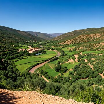 Oued Zitoun Green Valley Lush Oasis of Algeria