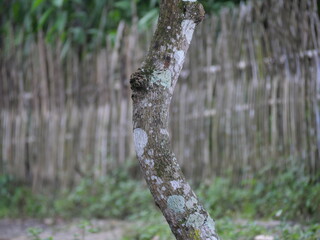 A blurred background adds depth and focus, enhancing subject clarity in photos or visual designs.