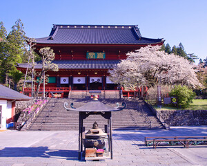 日光市　日光山輪王寺　三仏堂と満開の金剛桜