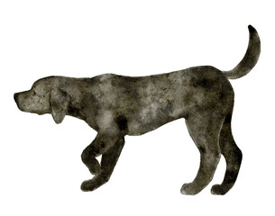 Watercolor hand drawn black dog in side view