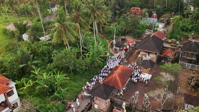 Aerial view of Balinese villagers walking from the temple around the village during Galungan, celebrating culture and tradition amid lush greenery and peaceful rural scenery.