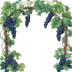 Elegant Grapevine Border with Lush Leaves and Dark Berries on Black