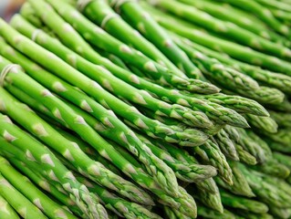 Bunch of fresh green asparagus tightly packed together showcasing vibrant stems and pointed tips with clear surface texture in close up macro style photography