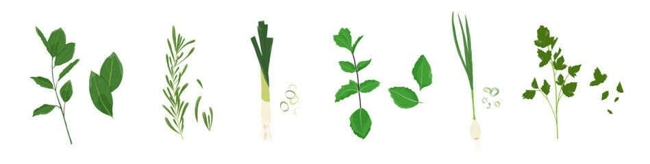 Set of fresh herbs and spice. Onion, parsley, rosemary and more. Bits of herbs. Vector. Flat style.