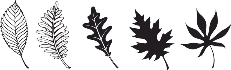 Hand-drawn leaf silhouettes set including maple, oak, fern, and elm leaves, detailed botanical illustration perfect for autumn designs, tattoos, prints, logos, and natural decorative projects.