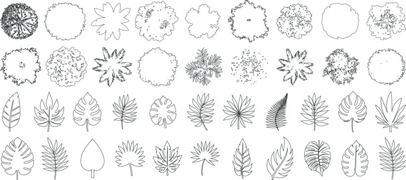 Tree top view, leaf icon set, plant illustration set for architectural design. Tree top view vector collection features diverse tree and leaf sketches for landscape planning, botanical art
