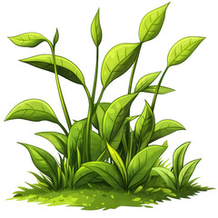 Lush Green Plant Illustration with Vibrant Leaves on transparent background