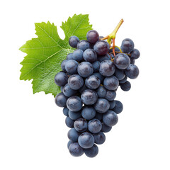 Fototapeta premium Exquisite bunch of black grapes with a vibrant green leaf isolated