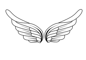 vector illustration of wings