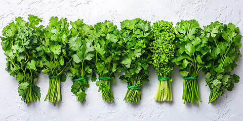 minimalist illustration of stylized herbs (cilantro outline), simple green lines