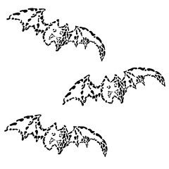 コウモリのモノクロ素材