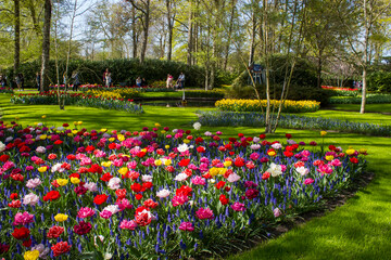 Obraz premium spring flowers in Keuhenhof in the Netherlands