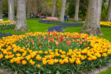 spring flowers in Keuhenhof in the Netherlands