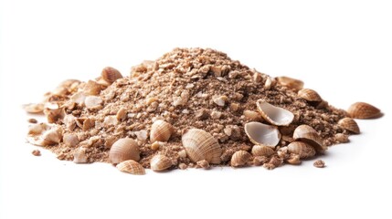 Pile of sand with seashells (6)