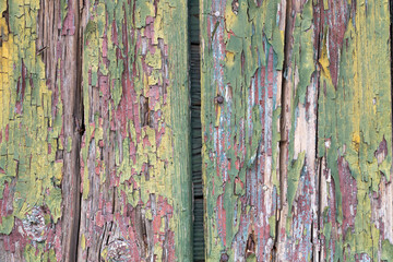 Obraz premium Weathered wood with multicolored peeling paint