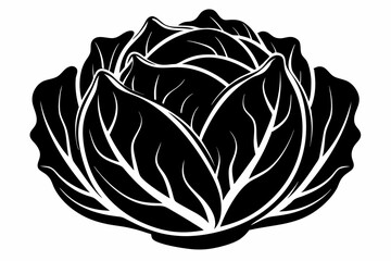 cabbage silhouette line art vector on white background
