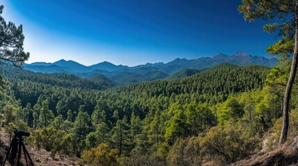 Obraz premium Majestic Mountain Vista