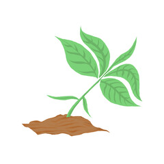 Hand drawn seedling vector, small plant in the soil, young shoots emerging, shoot growth