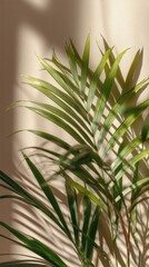 Beautiful palm leaf casting intricate shadows against soft pastel wall, creating elegant and serene atmosphere perfect for home decor, wellness, or nature-themed projects.