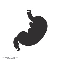 stomach, digestive system icon, digestion, balance gastric acid, flat vector illustration