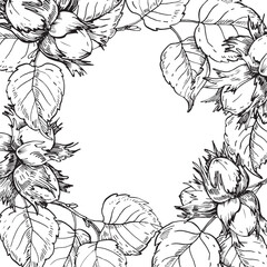 Hazelnut frame with branch, leaves and fruits. Vector black and white illustration hand drawn with ink. Graphic element for label and logo design