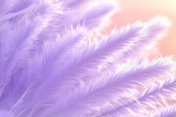 Obraz premium Close-up view of soft, pastel purple feathers.